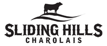 Sliding Hills Charolais